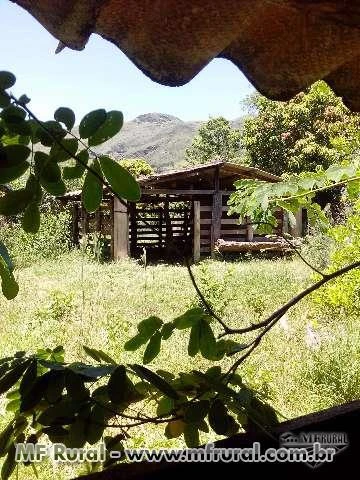 Ótima oportunidade propriedade rural em Rio Acima/MG