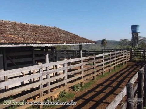 Fazenda em Reserva -PR