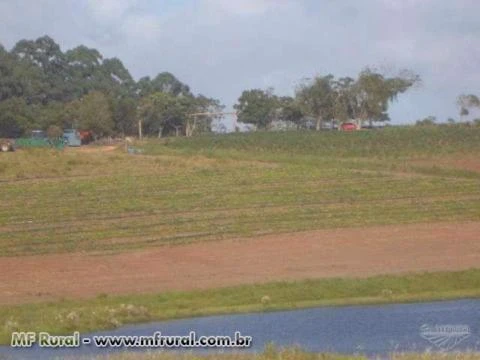 LINDA FAZENDA EM GUAÍBA, RIO GRANDE DO SUL, 174 HECTARES