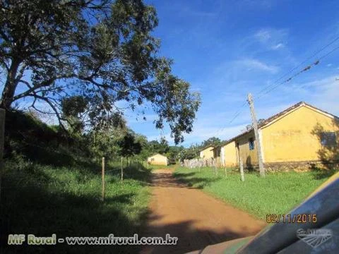 Fazenda de Café Sul de Minas Gerais