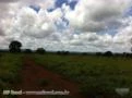 Fazenda barata em Jangada MT, com área de 1000 hectares na BR 163/364