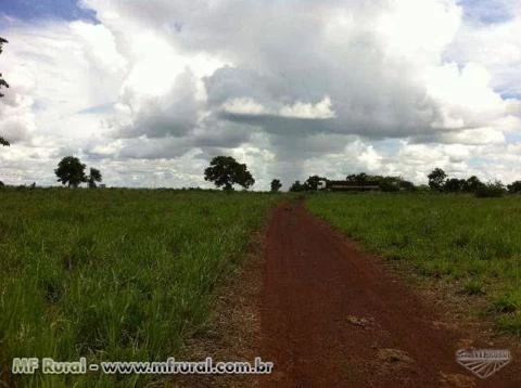 Fazenda barata em Jangada MT, com área de 1000 hectares na BR 163/364