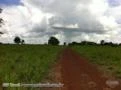 Fazenda barata em Jangada MT, com área de 1000 hectares na BR 163/364