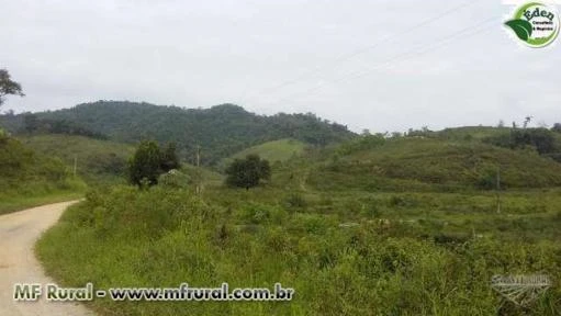 FAZENDA PARA PECUÁRIA, PUPUNHA E BANANA NO VALE DO RIBEIRA, SÃO PAULO