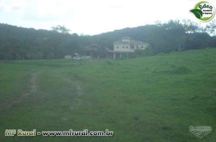 FAZENDA PECUÁRIA E PUPUNHA VALE DO RIBEIRA, SÃO PAULO