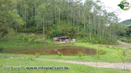 SÍTIO COM EUCALIPTO E TANQUES PARA PEIXE NO VALE DO RIBEIRA, SÃO PAULO.