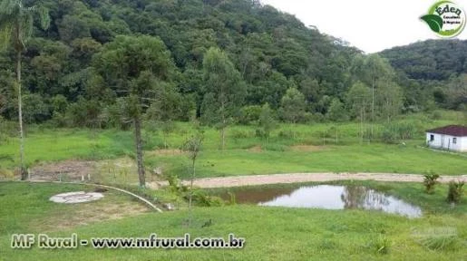 SÍTIO COM EUCALIPTO E TANQUES PARA PEIXE NO VALE DO RIBEIRA, SÃO PAULO.