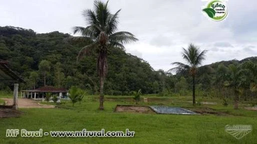 SÍTIO COM EUCALIPTO E TANQUES PARA PEIXE NO VALE DO RIBEIRA, SÃO PAULO.