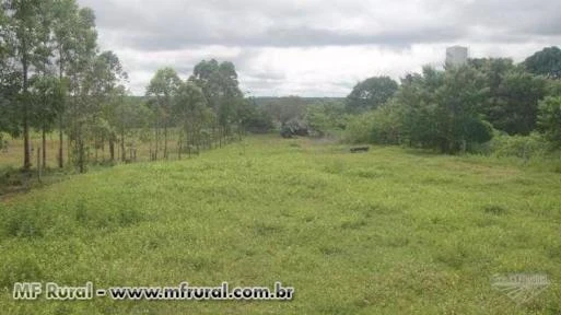 ARRENDAMENTO PARA PECUÁRIA E AGRICULTURA, TOCANTINS