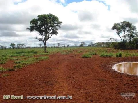 FAZENDA MONTADA PECUÁRIA E CULTURA, MATO GROSSO DO SUL