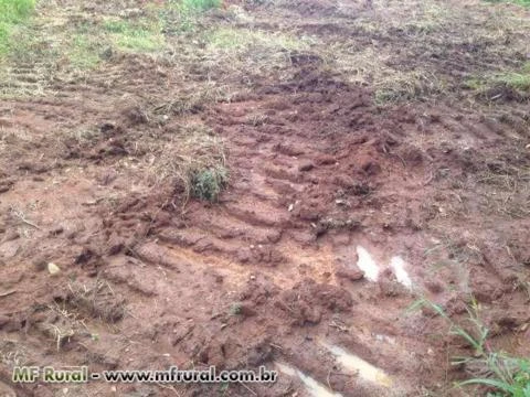 ARRENDAMENTO FAZENDA PARA SOJA NO TOCANTINS