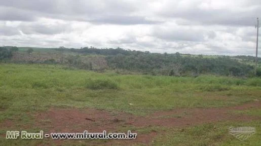 ARRENDAMENTO PARA PECUÁRIA E AGRICULTURA, TOCANTINS