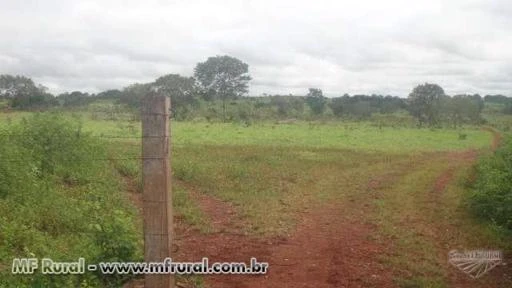 ARRENDAMENTO PARA PECUÁRIA E AGRICULTURA, TOCANTINS