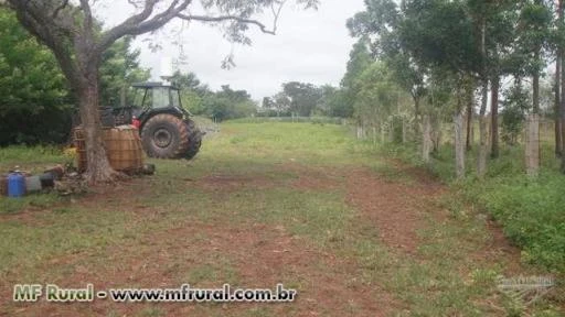 ARRENDAMENTO PARA PECUÁRIA E AGRICULTURA, TOCANTINS