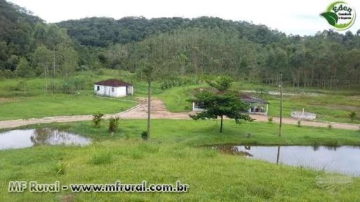 SÍTIO COM EUCALIPTO E TANQUES PARA PEIXE NO VALE DO RIBEIRA, SÃO PAULO