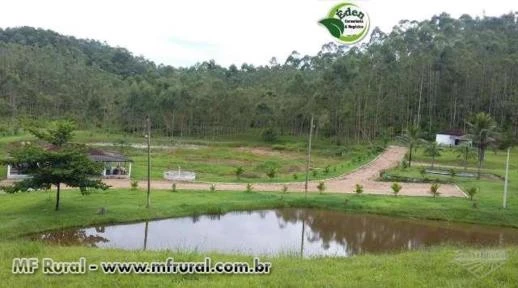 SÍTIO COM EUCALIPTO E TANQUES PARA PEIXE NO VALE DO RIBEIRA, SÃO PAULO