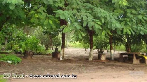 FAZENDA PRÓXIMA A CIDADE, GOIÁS.  ABAIXO DO VALOR REAL! “PARA VENDER URGENTE"