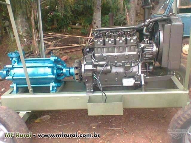 Motor de irrigação mwm 225