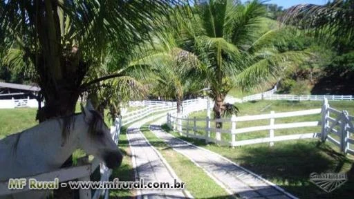 92 Alqueires em Silva Jardim - SEDE DE LUXO ESTILO COLONIAL