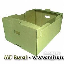 Embalagens e caixas para morango e uva (EMBALAGENS PARA TODO SETOR HORTIFRÚTI)