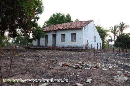 Fazenda Canto do Brejo - Passagem Franca - Maranhão - 961 ha