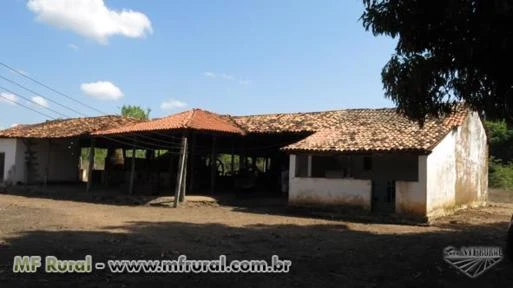 Fazenda Canto do Brejo - Passagem Franca - Maranhão - 961 ha