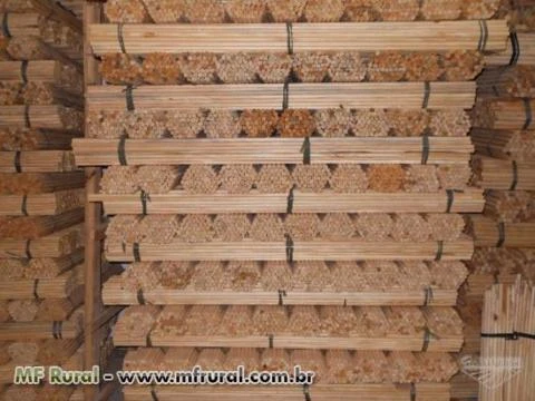 Disponho de cabos de vassoura em madeira cru
