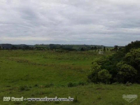 Fazenda de 400Hc própria para Pecuária na Coxilha Rica - Lages SC