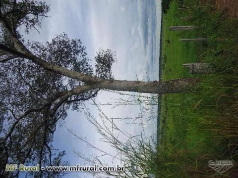 Vendo Fazenda na região do Xingu em Mato Grosso