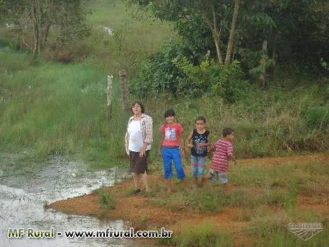 Vendo Fazenda na região do Xingu em Mato Grosso