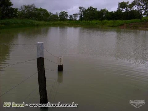 FAZENDA EM GOIAS VALE DO ARAGUAIA COM 242 HA.