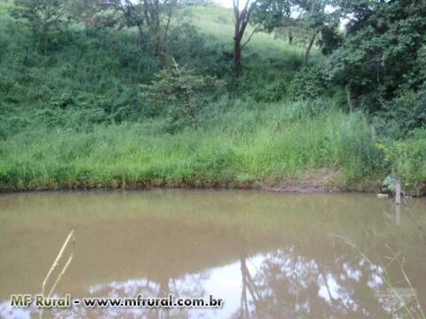 Fazenda em Itaguaru - Go 68 ha.