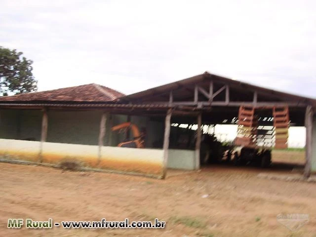fazenda da região de Montes Claros  de Goias - GO com 1060 hectares.