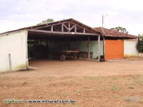 fazenda da região de Montes Claros  de Goias - GO com 1060 hectares.