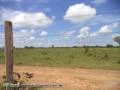 Dupla aptidão no Vale do Araguaia com viabilidade para grãos