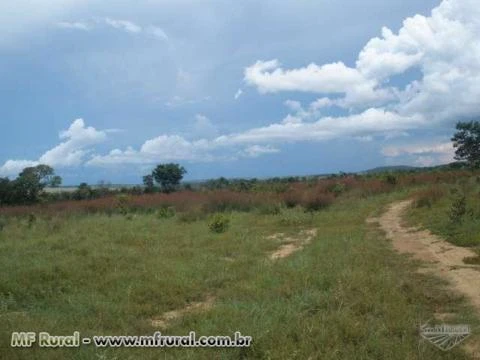 Ganhe dinheiro agora! A 68Km da capital Palmas bem próximo a ferrovia norte sul