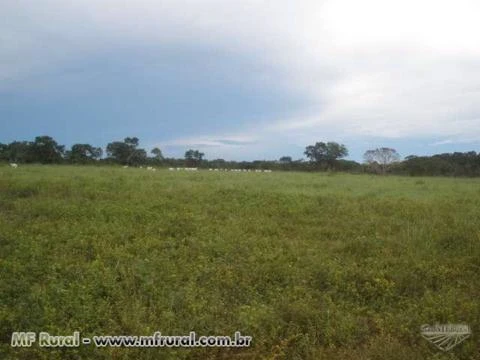 Ganhe dinheiro agora! A 68Km da capital Palmas bem próximo a ferrovia norte sul