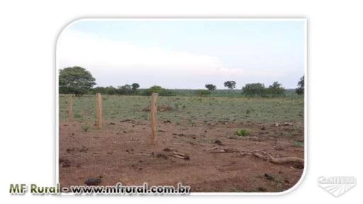 Fazenda Dupla Aptidão (Agricultura + Pecuária)