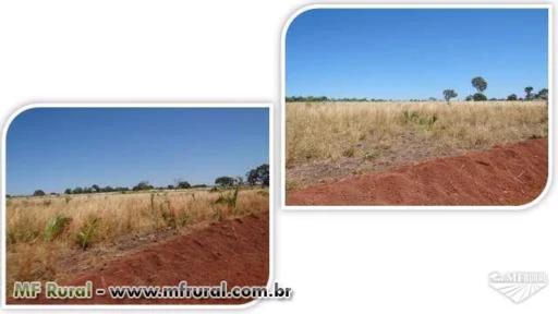 Fazenda de Médio Porte (Agricultura + Pecuária) - Tocantins