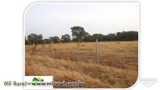 Pequenas Áreas - Agricultura / Pecuária / Piscicultura