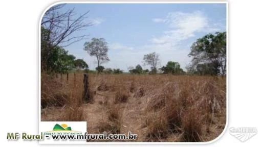 Pequenas Áreas - Agricultura / Pecuária / Piscicultura