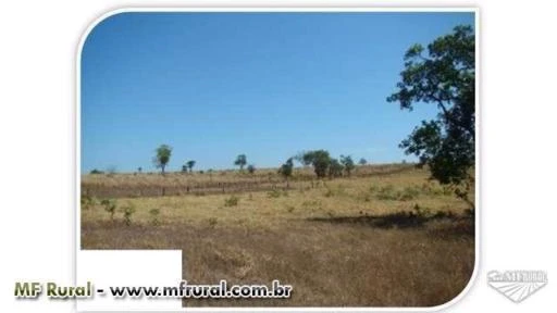 Fazenda Dupla Aptidão (Agricultura + Pecuária) - Tocantins