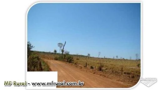 Fazenda Dupla Aptidão (Agricultura + Pecuária) - Tocantins