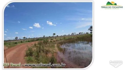Fazenda Para Soja - Tocantins (Chuva 2.200 mm)