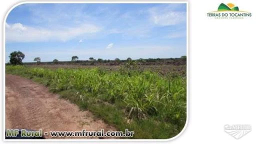 Fazenda Para Soja - Tocantins (Chuva 2.200 mm)