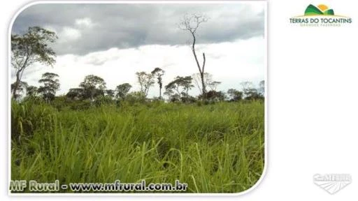 Fazenda Para Soja - Tocantins (Chuva 2.200 mm)