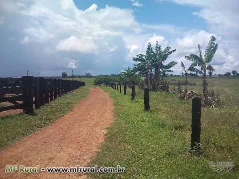 Fazenda Pronta na Beira da Estrada a 70 km de Rio Branco, AC. Medindo 700 hac