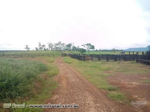Ótima fazenda para engorda de Gado na beira do asfalto med. 1.700ha