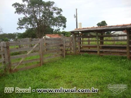 Fazenda em Monte Alegre de Minas, oportunidade
