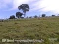 Sítio em Monte Alegre de Minas, perto da cidade